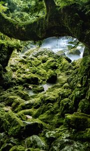 Preview wallpaper stones, moss, wood, rocks