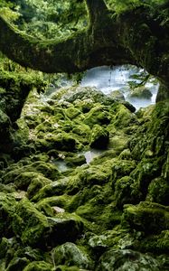 Preview wallpaper stones, moss, wood, rocks