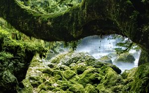 Preview wallpaper stones, moss, wood, rocks