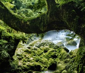 Preview wallpaper stones, moss, wood, rocks