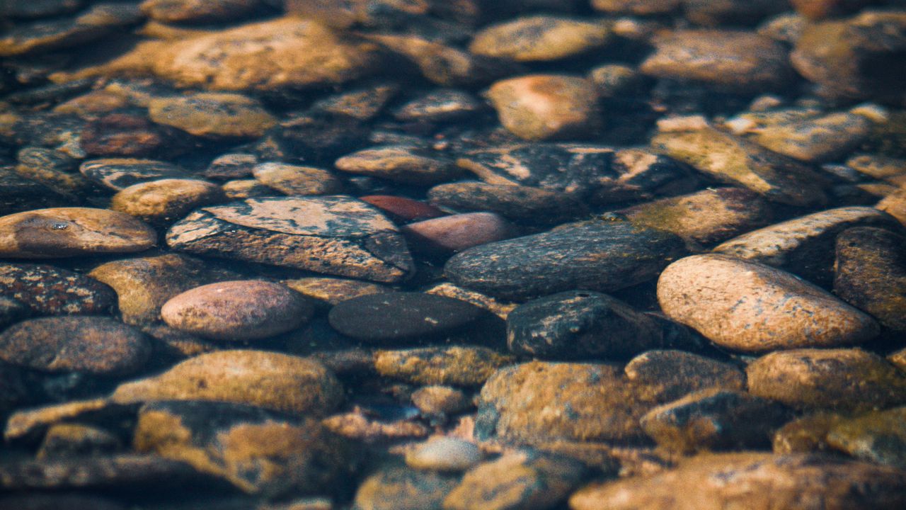 Wallpaper Stones Pebbles Water Texture Hd Picture Image