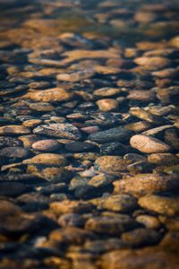 Preview wallpaper stones, pebbles, water, texture