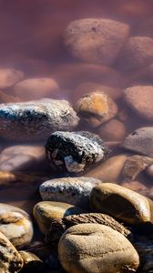 Preview wallpaper stones, pebbles, water, macro