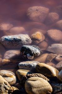 Preview wallpaper stones, pebbles, water, macro