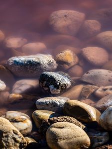 Preview wallpaper stones, pebbles, water, macro