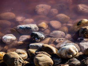 Preview wallpaper stones, pebbles, water, macro