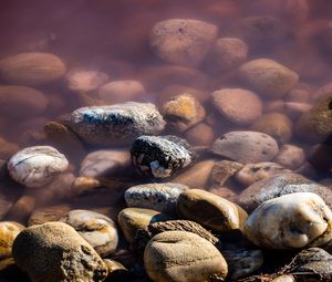 Preview wallpaper stones, pebbles, water, macro