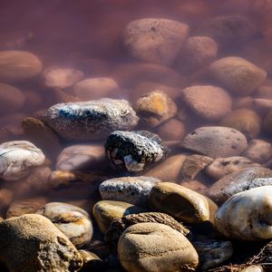 Preview wallpaper stones, pebbles, water, macro