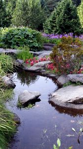 Preview wallpaper stones, pond, garden, vegetation, bushes, shadow