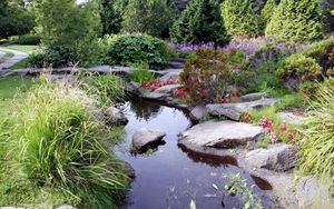 Preview wallpaper stones, pond, garden, vegetation, bushes, shadow