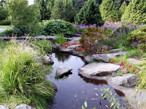 Preview wallpaper stones, pond, garden, vegetation, bushes, shadow