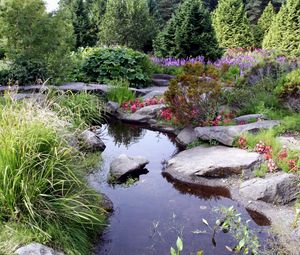 Preview wallpaper stones, pond, garden, vegetation, bushes, shadow