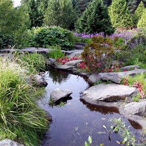 Preview wallpaper stones, pond, garden, vegetation, bushes, shadow