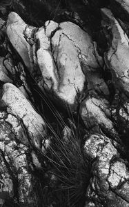 Preview wallpaper stones, relief, grass, black and white