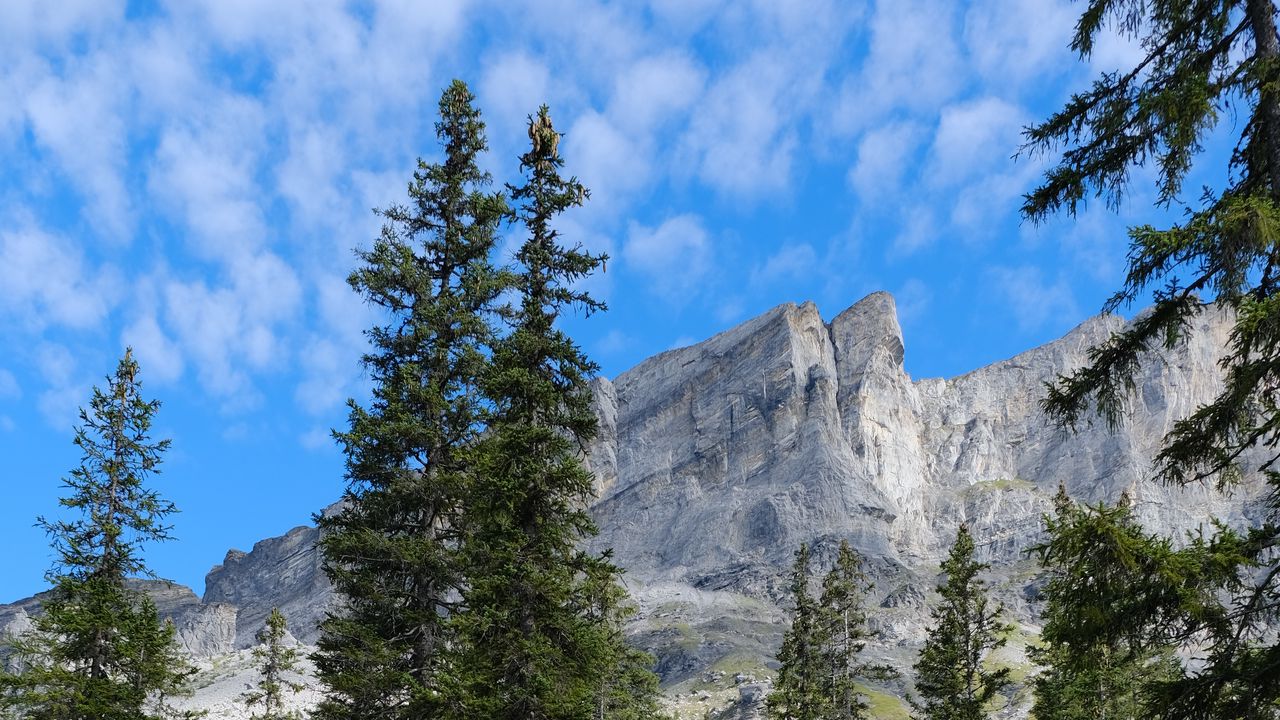 Wallpaper stones, relief, landscape, mountains, trees