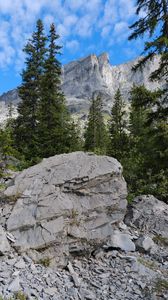 Preview wallpaper stones, relief, landscape, mountains, trees