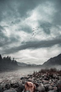 Preview wallpaper stones, river, fog, forest, trees