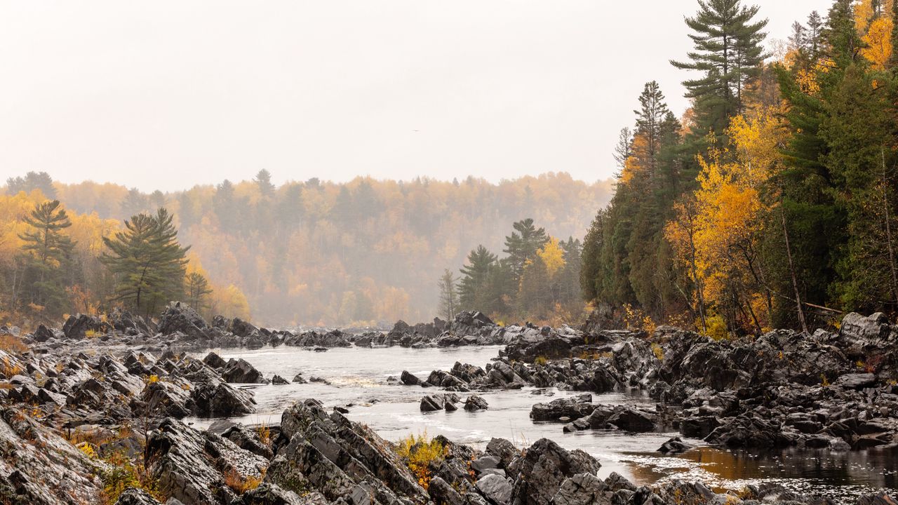 Wallpaper stones, river, forest, trees, autumn, landscape