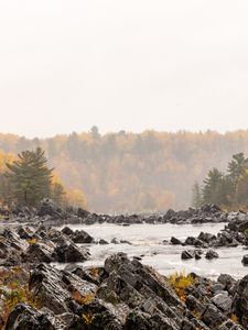 Preview wallpaper stones, river, forest, trees, autumn, landscape