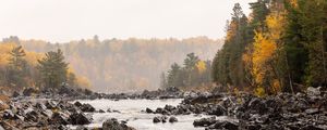 Preview wallpaper stones, river, forest, trees, autumn, landscape