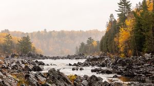 Preview wallpaper stones, river, forest, trees, autumn, landscape