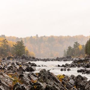 Preview wallpaper stones, river, forest, trees, autumn, landscape