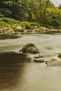 Preview wallpaper stones, river, shore, trees, long exposure