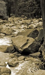 Preview wallpaper stones, river, tree, roots, trunk, black-and-white