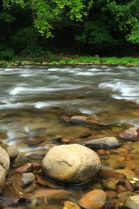 Preview wallpaper stones, river, trees, stream