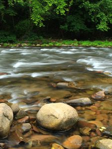 Preview wallpaper stones, river, trees, stream