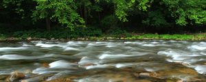 Preview wallpaper stones, river, trees, stream