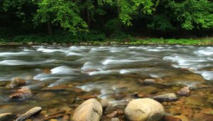Preview wallpaper stones, river, trees, stream