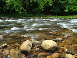 Preview wallpaper stones, river, trees, stream
