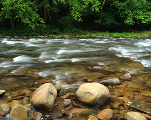 Preview wallpaper stones, river, trees, stream
