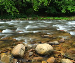 Preview wallpaper stones, river, trees, stream