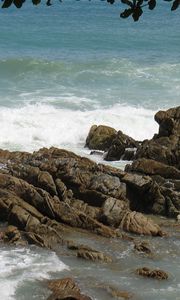 Preview wallpaper stones, rocks, coast, sea, waves, cuts, branches