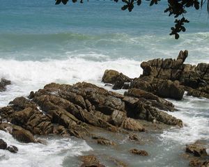 Preview wallpaper stones, rocks, coast, sea, waves, cuts, branches