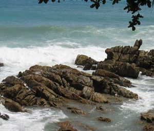 Preview wallpaper stones, rocks, coast, sea, waves, cuts, branches