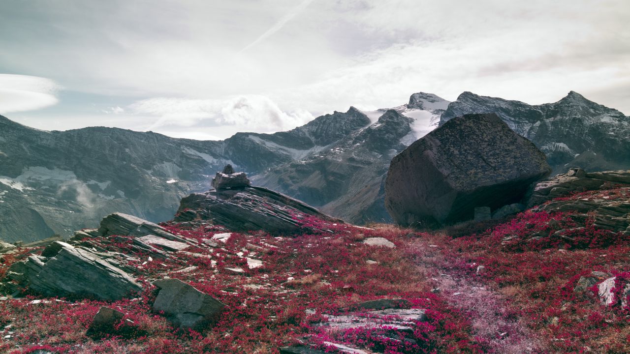 Wallpaper stones, rocks, flowers, mountains, landscape
