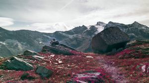 Preview wallpaper stones, rocks, flowers, mountains, landscape