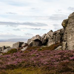 Preview wallpaper stones, rocks, grass, flowers, nature