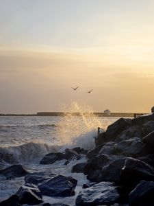 Preview wallpaper stones, rocks, sea, splashes, birds