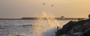 Preview wallpaper stones, rocks, sea, splashes, birds