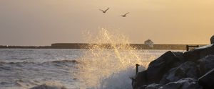 Preview wallpaper stones, rocks, sea, splashes, birds