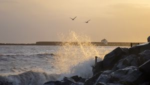 Preview wallpaper stones, rocks, sea, splashes, birds