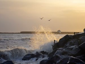 Preview wallpaper stones, rocks, sea, splashes, birds