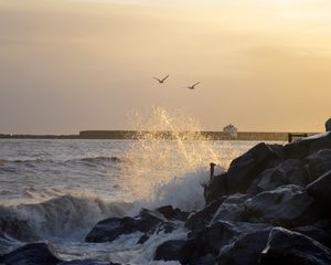 Preview wallpaper stones, rocks, sea, splashes, birds