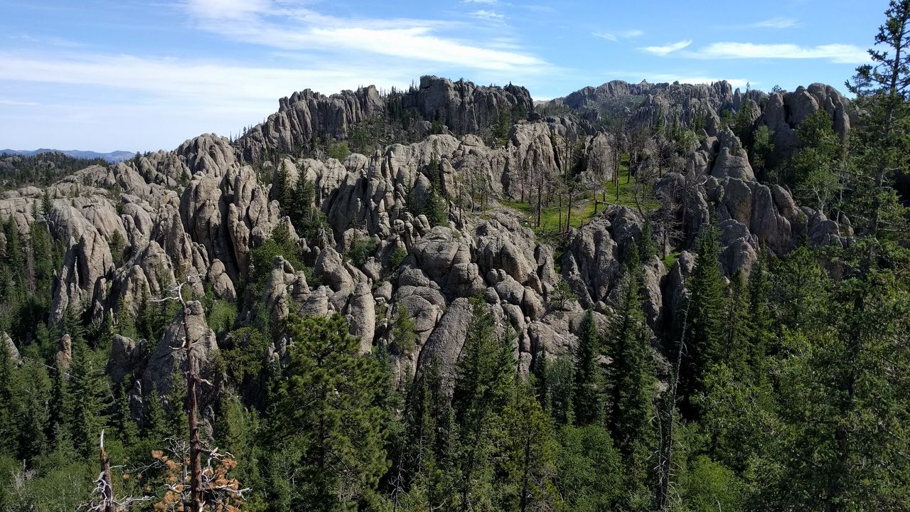 Wallpaper stones, rocks, trees, nature, landscape hd, picture, image