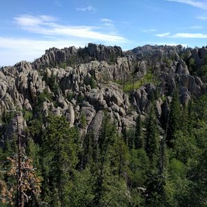 Preview wallpaper stones, rocks, trees, nature, landscape