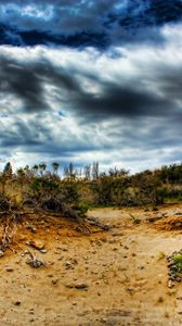 Preview wallpaper stones, sand, plants, roots, sky, colors